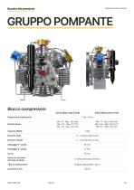 Catalogo Booster Industrial-15