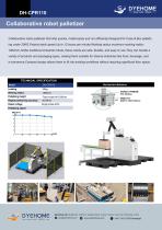           DYEHOME  Palletizer robotic DH-CPR110