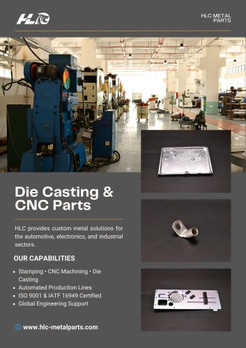 Die Casting & CNC Parts