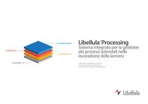 Libellula Processing - 1