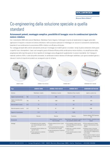 AKM Hygienic Gear Motor Flyer