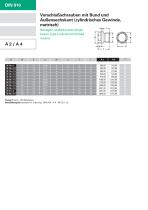 DIN 910