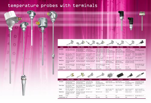 temperature probes with terminals