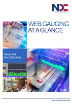 WEB GAUGING  AT A GLANCE