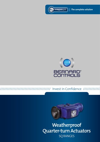 BERNARD CONTROLS