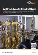 WEH® Solutions for Industrial Gases