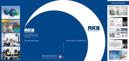 RKB Brief Company Profile_I - 1