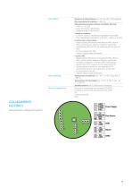 FLS -15