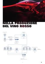 Produzione del vino - 6