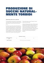 Succo di frutta - 12