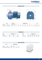 2CP Elettropompe centrifughe bigiranti - 10