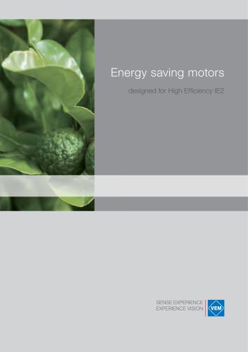 Energy saving motors, designed for High Efficiency IE2