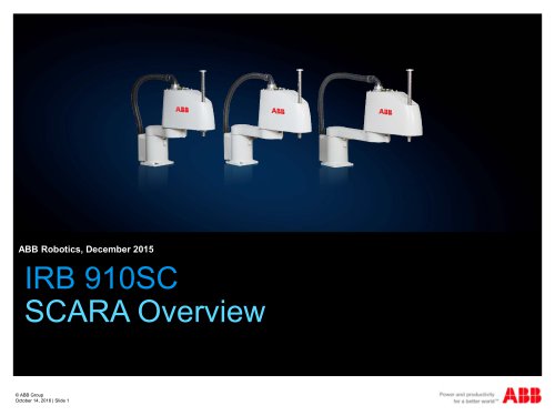 RB 910SC SCARA  Overview