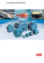 Low Voltage Marine Motors