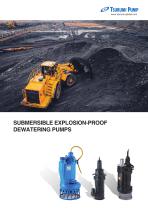 SUBMERSIBLE EXPLOSION-PROOF DEWATERING PUMPS [50Hz]_IB113-E