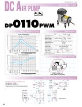 DP 0110PWM