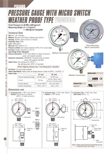 Dial Pressure Gauge - PIS5000