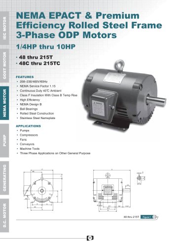 NEMA EPACT & PREMIUM EFF. Rolled Steel 3-Phase ODP Motors