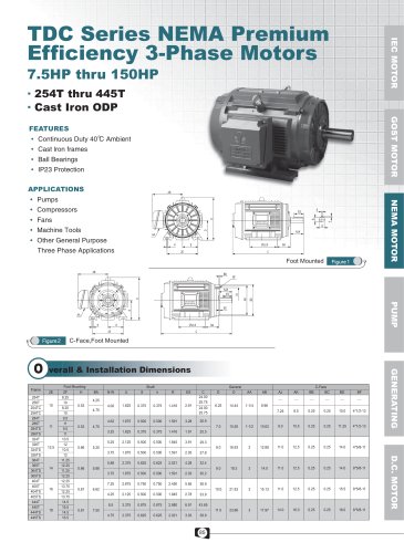 TDC Series NEMA Premium Efficiency 3-Phase ODP Motors