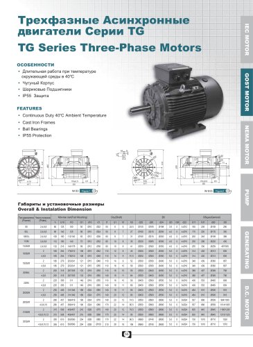 TG Series GOST 3-Phase Motors