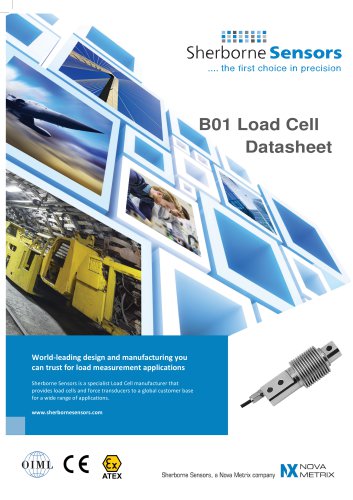 Sherborne Sensors B01 Load Cell Datasheet