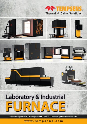Industrial & Laboratory Furnaces