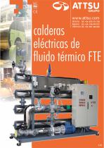 Thermal fluid boiler - FTE