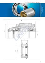 Cuscinetti multistadio assiali per estrusori - 21