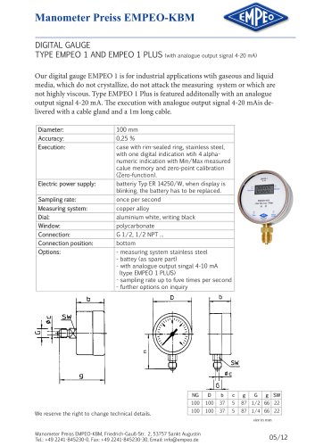 DIGITAL GAUGE