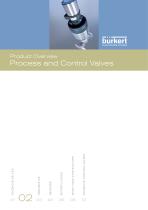 Process & Control Valves