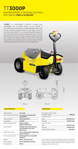 TT3000P