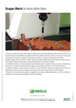 Brochure Telescopici Professional - 4