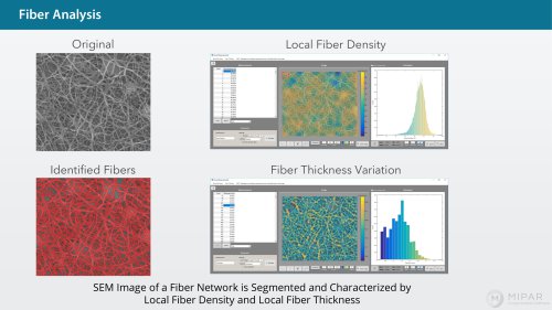 Fibers Analysis