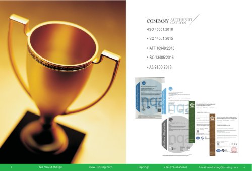 Wave Spring catalog-04