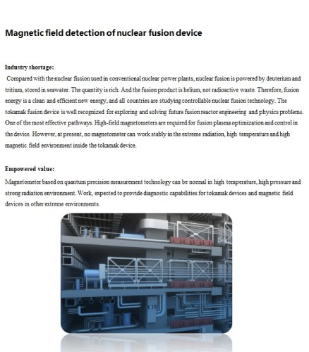 Magnetic field detection of nuclear fusion device