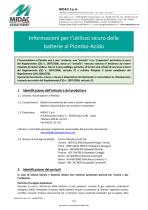 Informazioni per l’utilizzo sicuro delle batterie al Piombo-Acido - 1