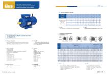 IEC Motors - Brake Motors