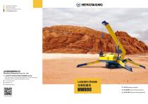 HW800 Spider Crane