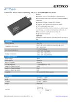 GS2054HH-4S2P-Standard smart li-ion battery pack