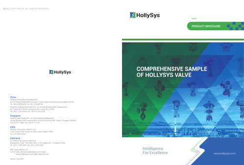 COMPREHENSIVE SAMPLE OF HOLLYSYS VALVE