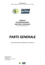 MODELLO DI ORGANIZZAZIONE-1