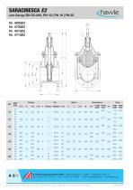 SARACINESCHE | VALVOLE COMBI_catalogue - 5