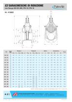 SARACINESCHE | VALVOLE COMBI_catalogue - 9