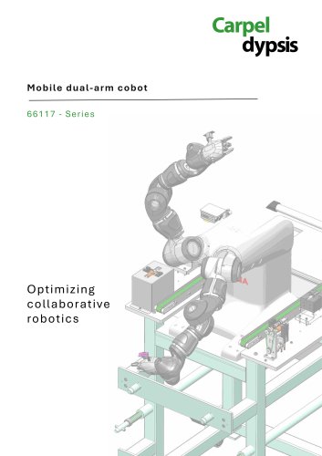 66117 - Mobile dual-arm cobot