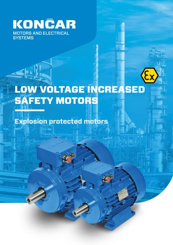LOW VOLTAGE INCREASED SAFETY MOTORS