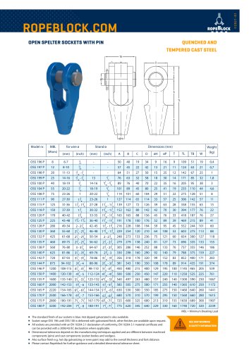 OPEN SPELTER SOCKETS WITH PIN