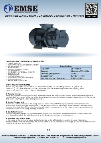 MONOBLOCK WATER RING VACUUM PUMP - ESV SERIES