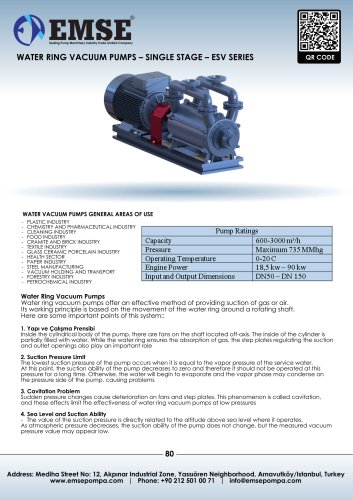 SINGLE STAGE WATER RING VACUUM PUMP - ESV SERIES