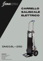 DM216L-250