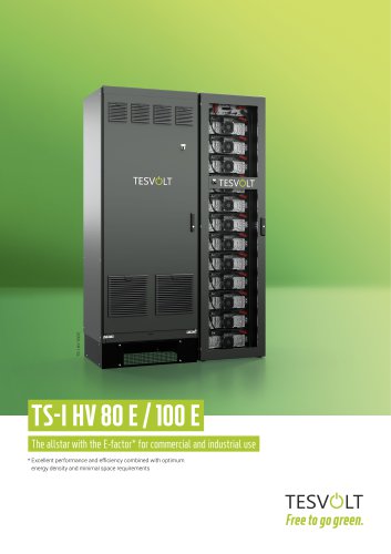 TS-I HV 80/100 E